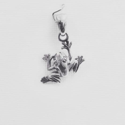 HÄNGSMYCKE SILVER grodan